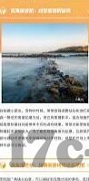 2019成人免费视频在线播放-2019年成人视频的数字化浪潮与网络伦理