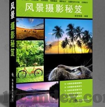 91麻豆精品成人免费视频-领略成人视频的无尽魅力——91 麻豆精品的非凡体验