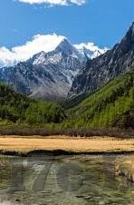 大象传媒18勿进大象77oo-大象传媒与77oo的数字世界探索