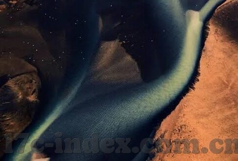 大象传媒汅下载-探索大象传媒的数字世界，汅下载现象的深度剖析
