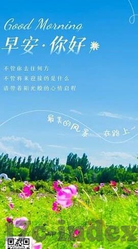 大象传媒网站在线观看-探索大象传媒网站在线观看的多元化娱乐体验