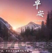 大象传媒网站在线观看-探索大象传媒网站在线观看的多元魅力与价值