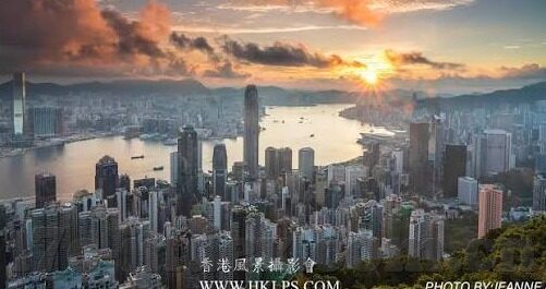 国产麻豆视频一区-了解国民娱乐文化的多样陪伴，探究网络平台的多元化发展——以国产麻豆视频一区为例