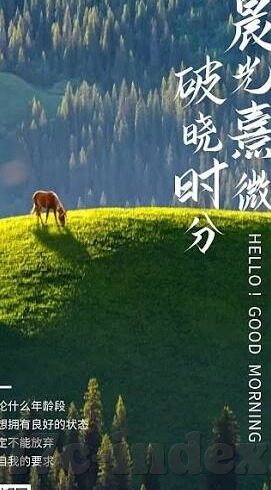 麻豆app下载-麻豆app，解锁虚拟发布新社交体验的秘诀