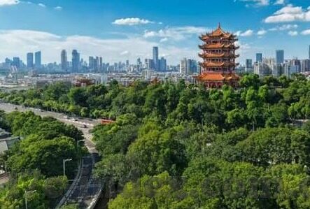 麻豆传媒免费app-解锁新视界，免费娱乐的智趣探索