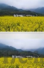 免费一区二区三区视频-免费一区二区三区视频，网络时代的娱乐新选择