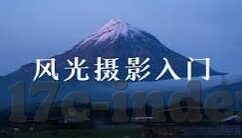 人妻白浆-细腻情感下的生活细语，人妻白浆的温柔篇章